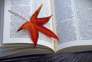 leaf, autumn, book-7558103.jpg